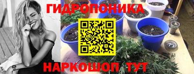 молекула духа Краснокаменск